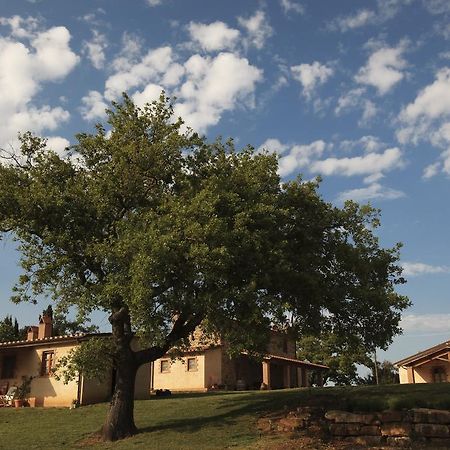 Campagnatico Agriturismo Belvedere Di Pierini E Brugi מראה חיצוני תמונה