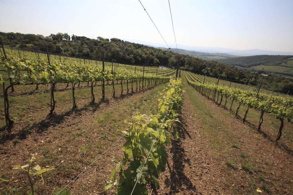 Campagnatico Agriturismo Belvedere Di Pierini E Brugi מראה חיצוני תמונה