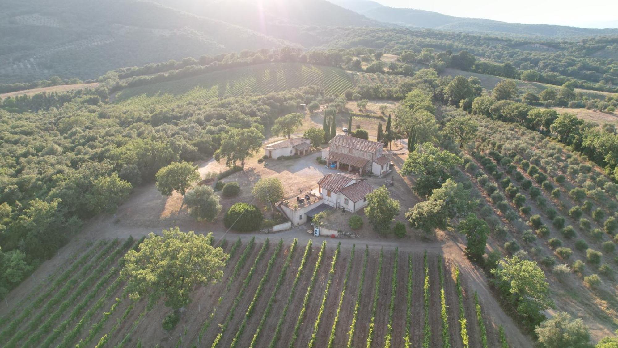 Campagnatico Agriturismo Belvedere Di Pierini E Brugi מראה חיצוני תמונה