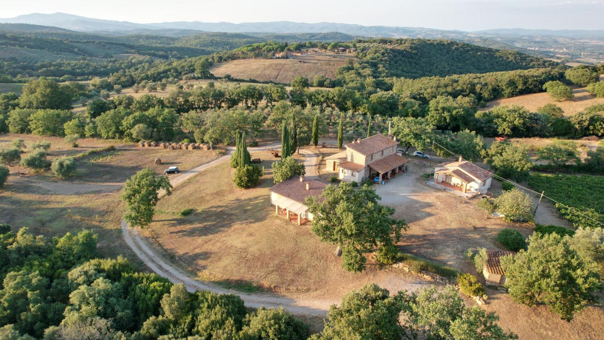 Campagnatico Agriturismo Belvedere Di Pierini E Brugi מראה חיצוני תמונה