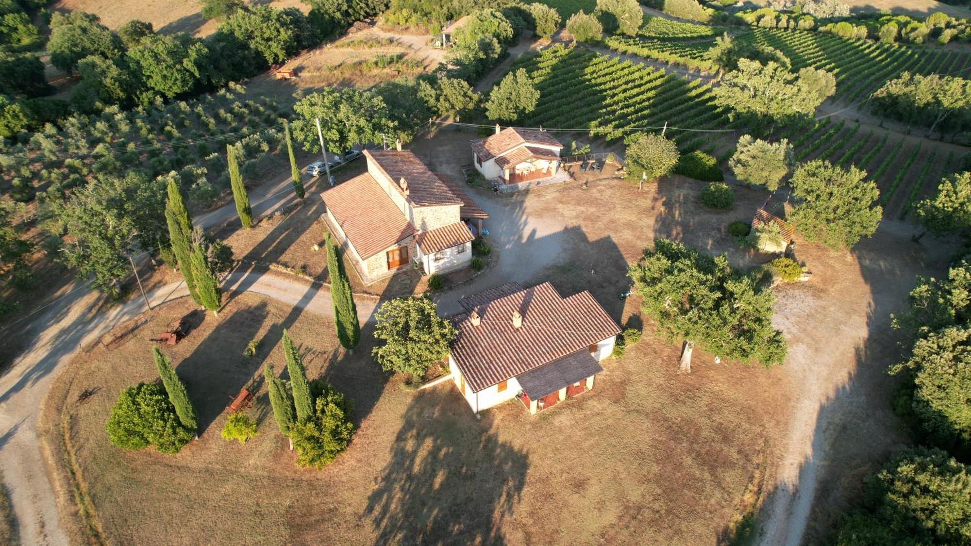Campagnatico Agriturismo Belvedere Di Pierini E Brugi מראה חיצוני תמונה