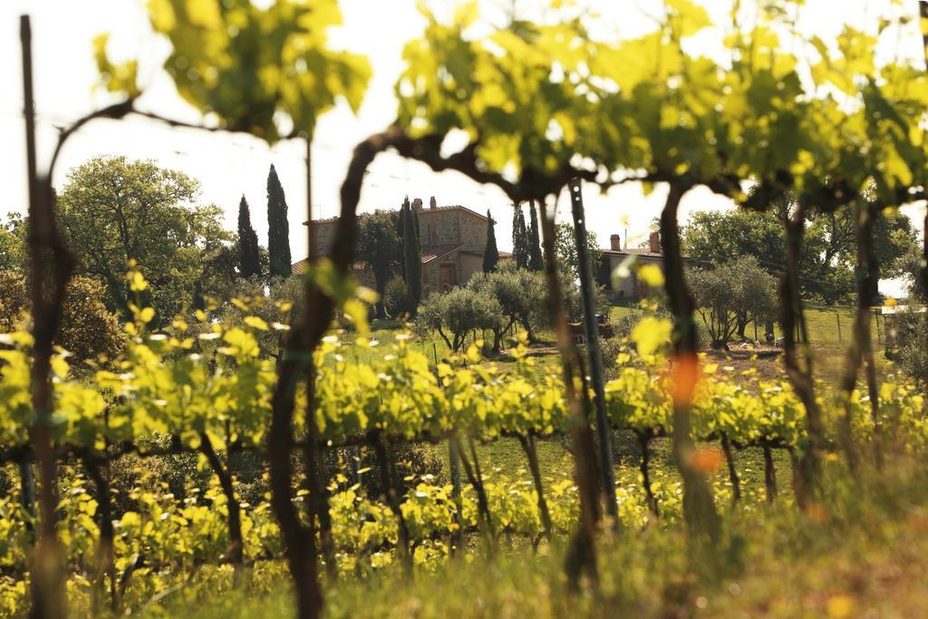 Campagnatico Agriturismo Belvedere Di Pierini E Brugi מראה חיצוני תמונה