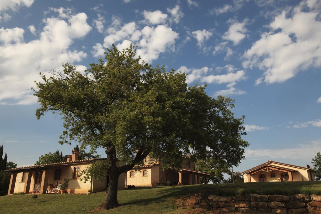 Campagnatico Agriturismo Belvedere Di Pierini E Brugi מראה חיצוני תמונה