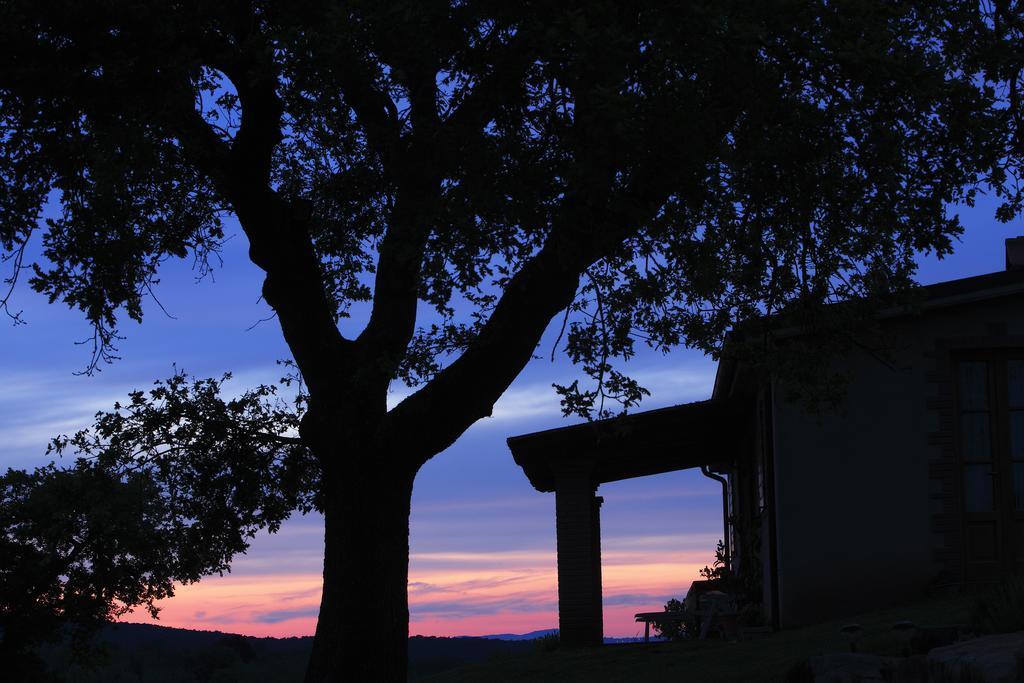 Campagnatico Agriturismo Belvedere Di Pierini E Brugi חדר תמונה