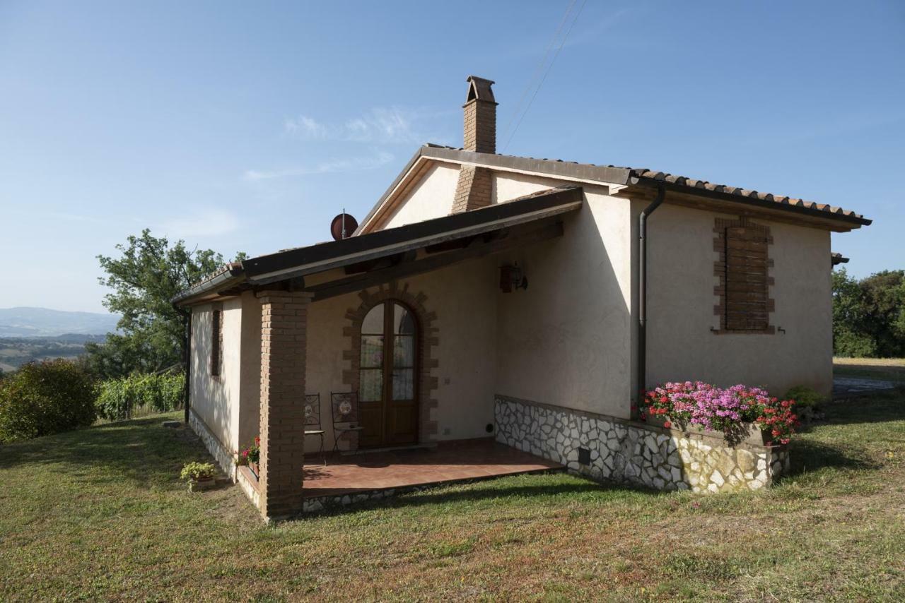 Campagnatico Agriturismo Belvedere Di Pierini E Brugi מראה חיצוני תמונה