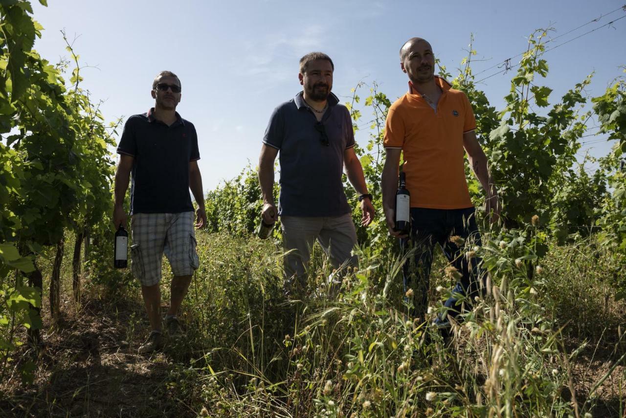 Campagnatico Agriturismo Belvedere Di Pierini E Brugi מראה חיצוני תמונה