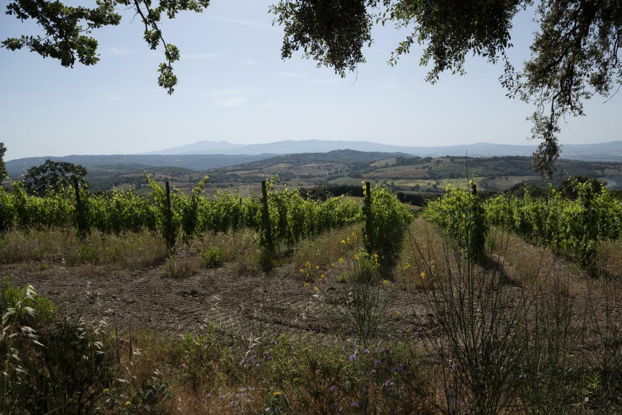 Campagnatico Agriturismo Belvedere Di Pierini E Brugi מראה חיצוני תמונה